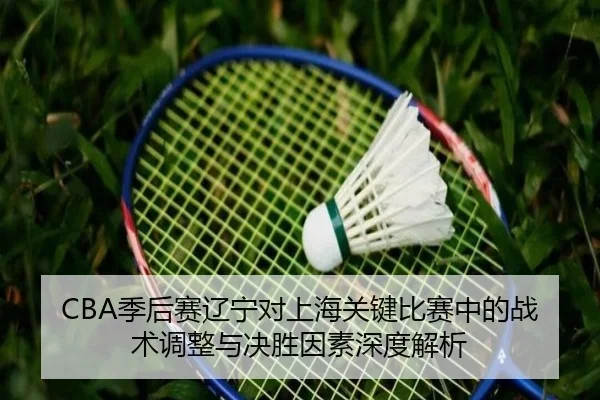 CBA季后赛辽宁对上海关键比赛中的战术调整与决胜因素深度解析（LEYU SPORTS）