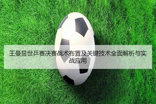王曼昱世乒赛决赛战术布置及关键技术全面解析与实战应用（LEYU SPORTS）